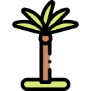 beach,nature,tropical,botanical,palm tree,island
